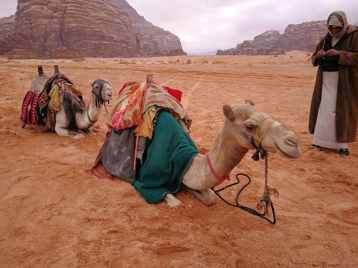 Martian Camp Hotel Wadi Rum Bagian luar foto