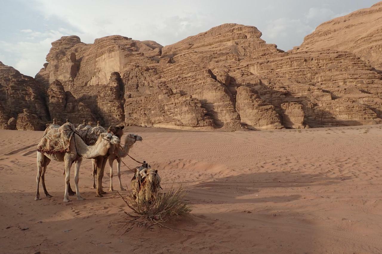 Martian Camp Hotel Wadi Rum Bagian luar foto